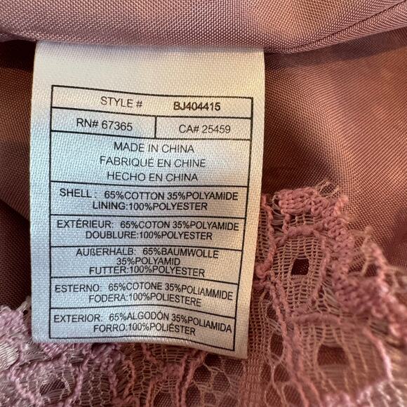 BB Dakota Mock Neck Pink Lace Sheer Romantic Blouse XS - Picture 6 of 7